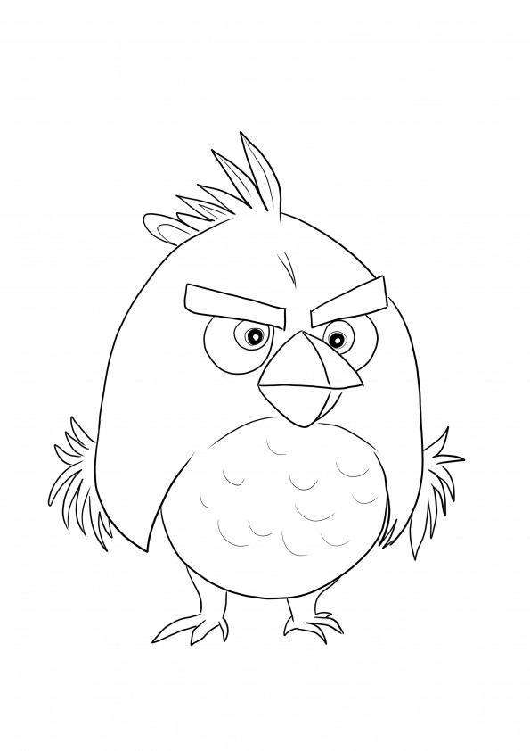 Pasărea roșie de la Angry Birds este gata pentru a fi tipărită și colorată cu culorile preferate