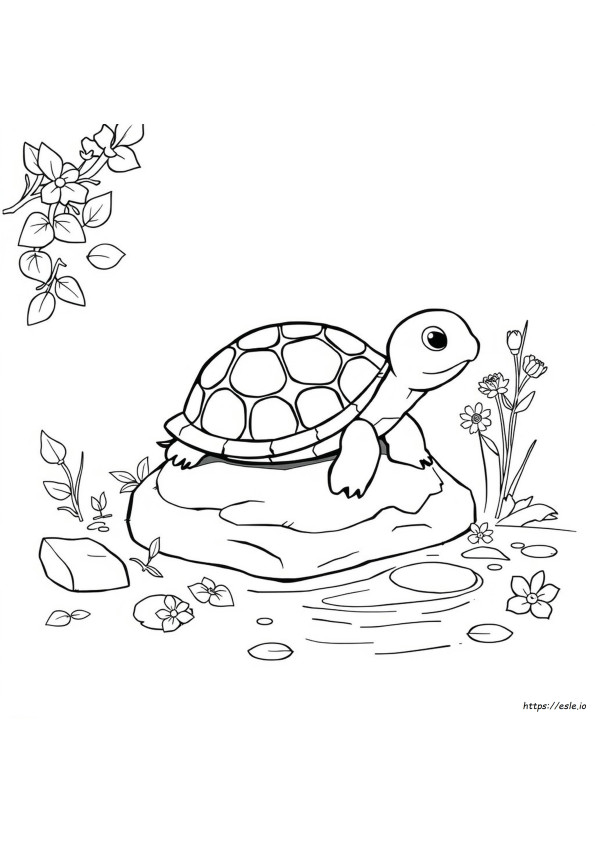 Leuke Schildpad Kleurplaten Printbaar