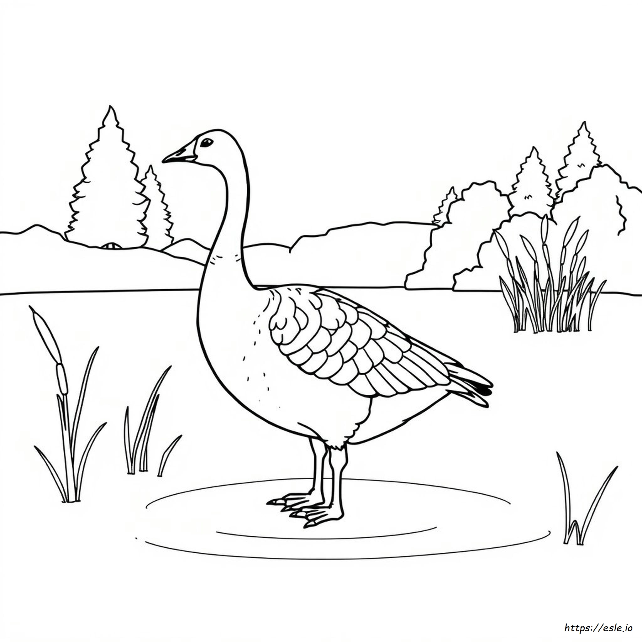Canada Goose Coloring Page
