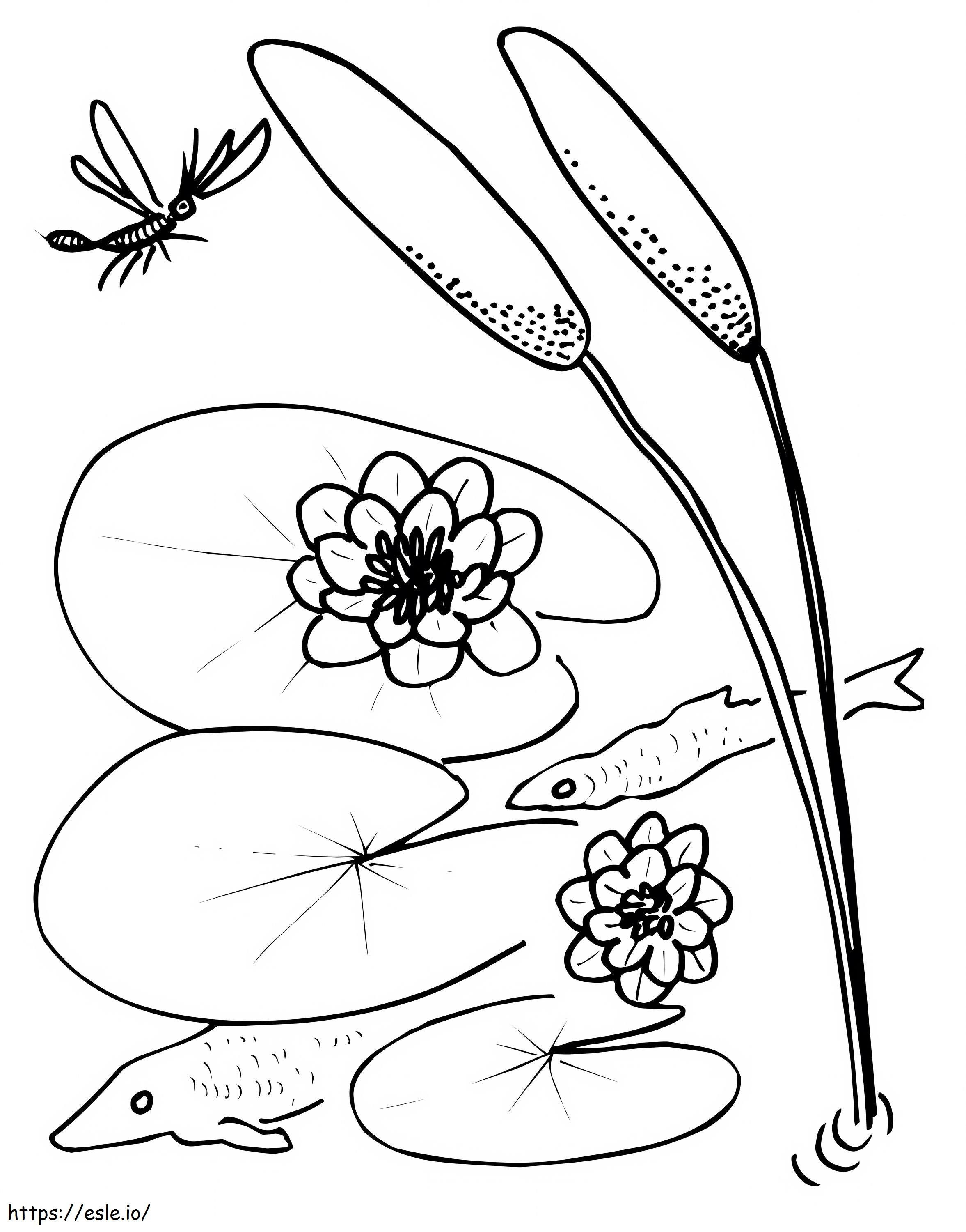 Biene und Seerosenblatt ausmalbilder