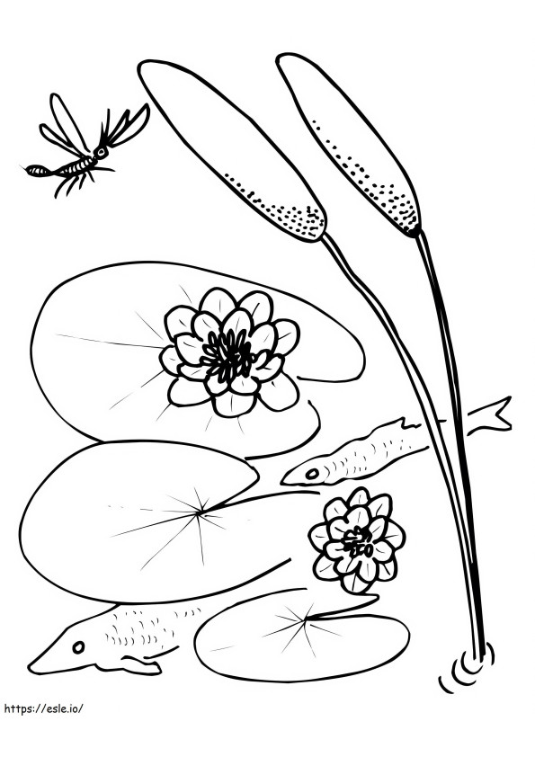 Bee And Lily Pad coloring page