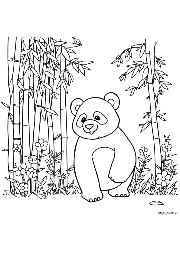 Combo Panda Planșe De Colorat