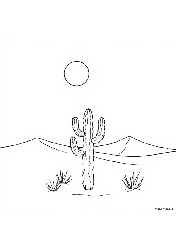 Immagini Del Deserto Da Colorare