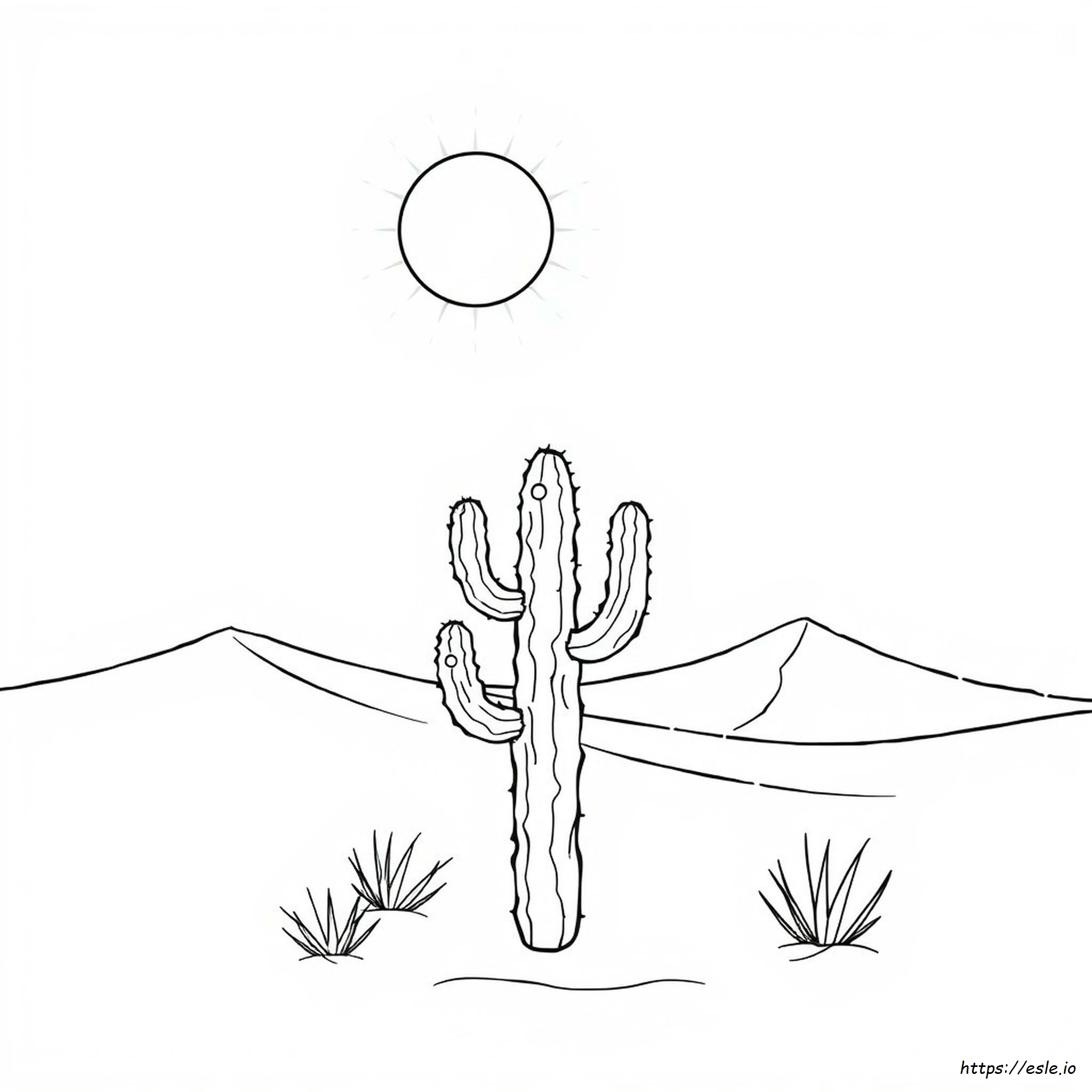 Desert Coloring Pictures
