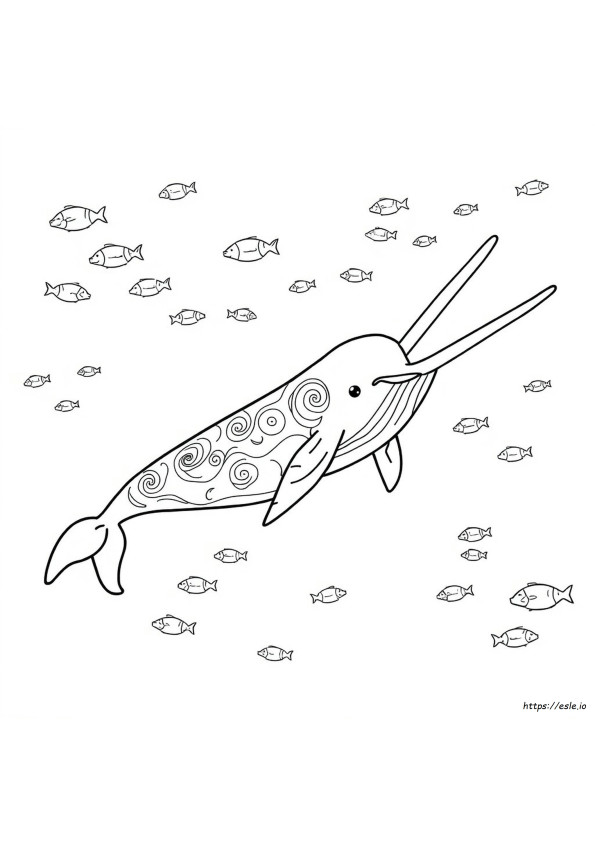Narwhal Coloring Pages For Adults