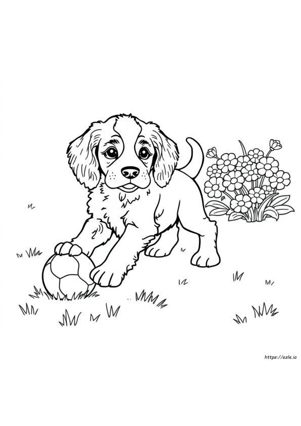 Cucciolo Di Cocker Spaniel Da Colorare