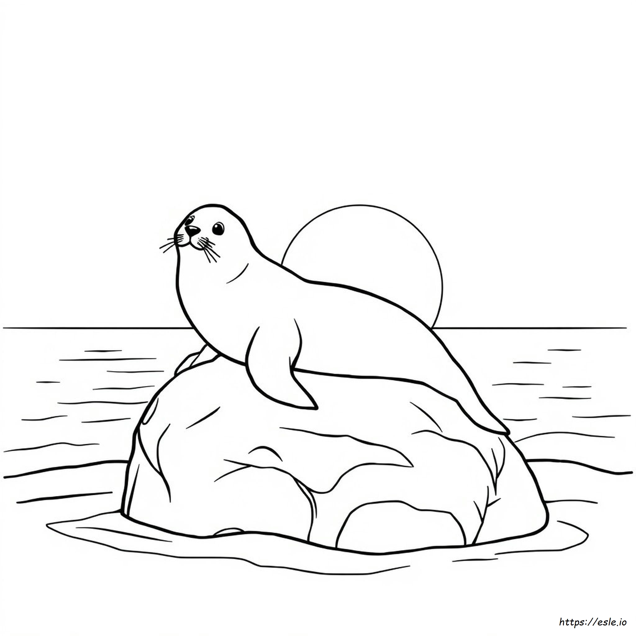 Foca De California Para Colorear