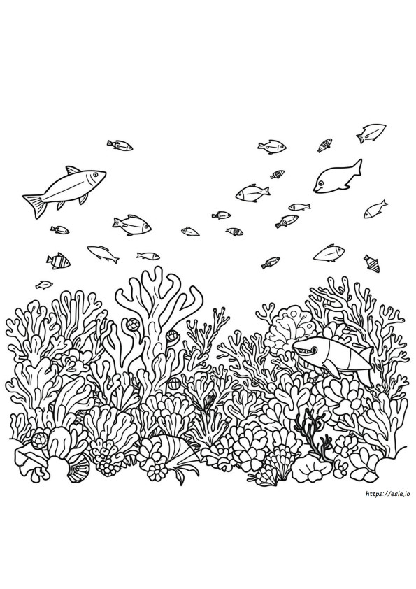 Great Barrier Reef Coloring Page