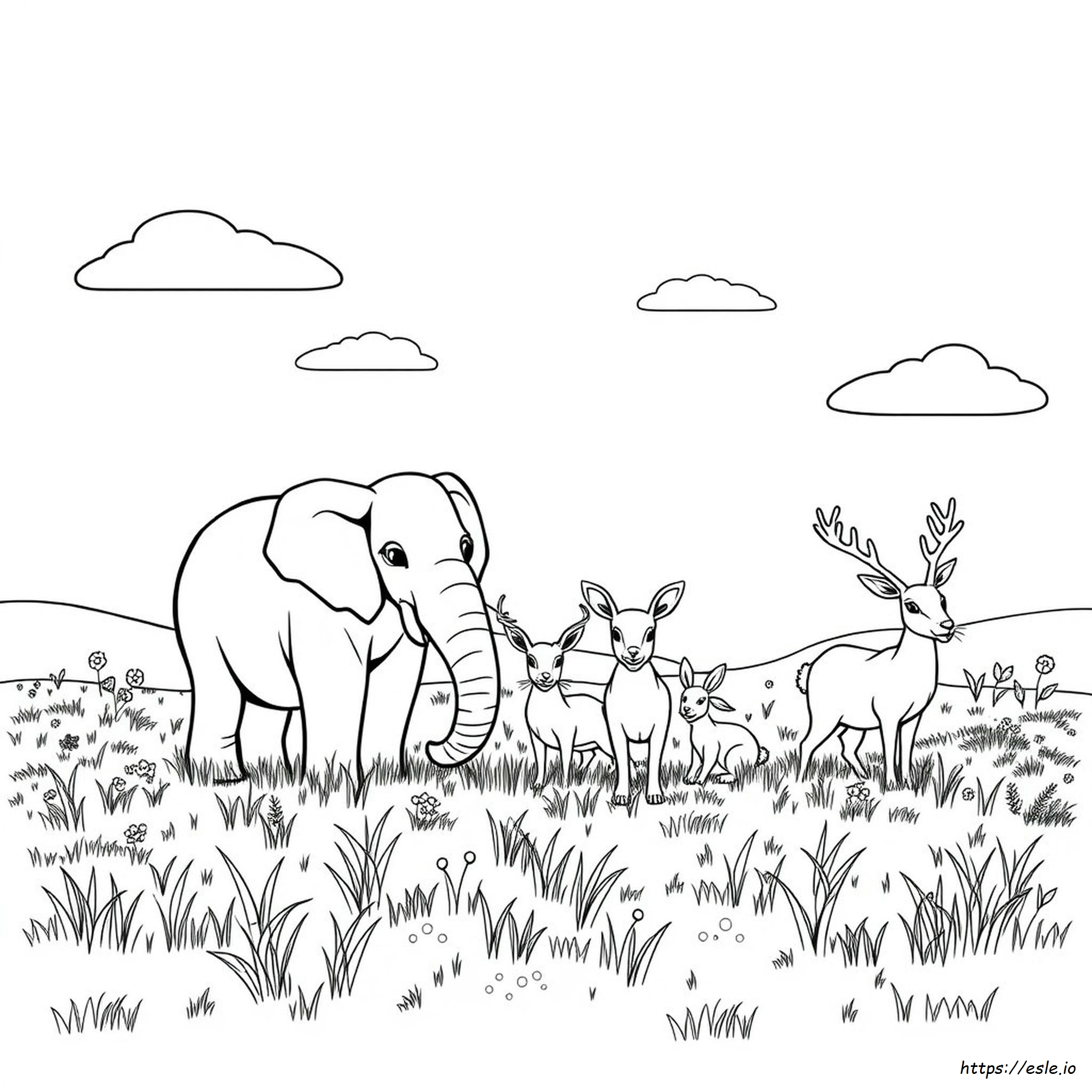 Coloring Pages Of Mammals
