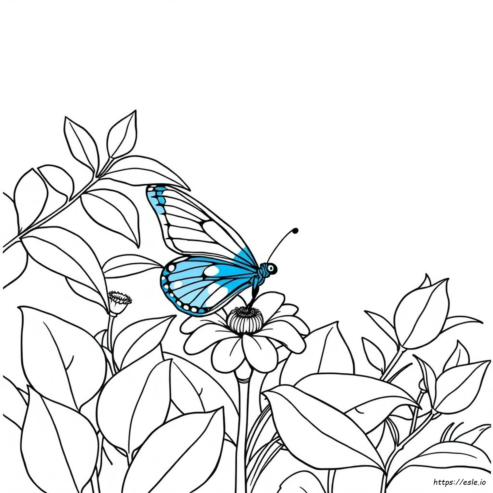 Blue Butterfly Coloring