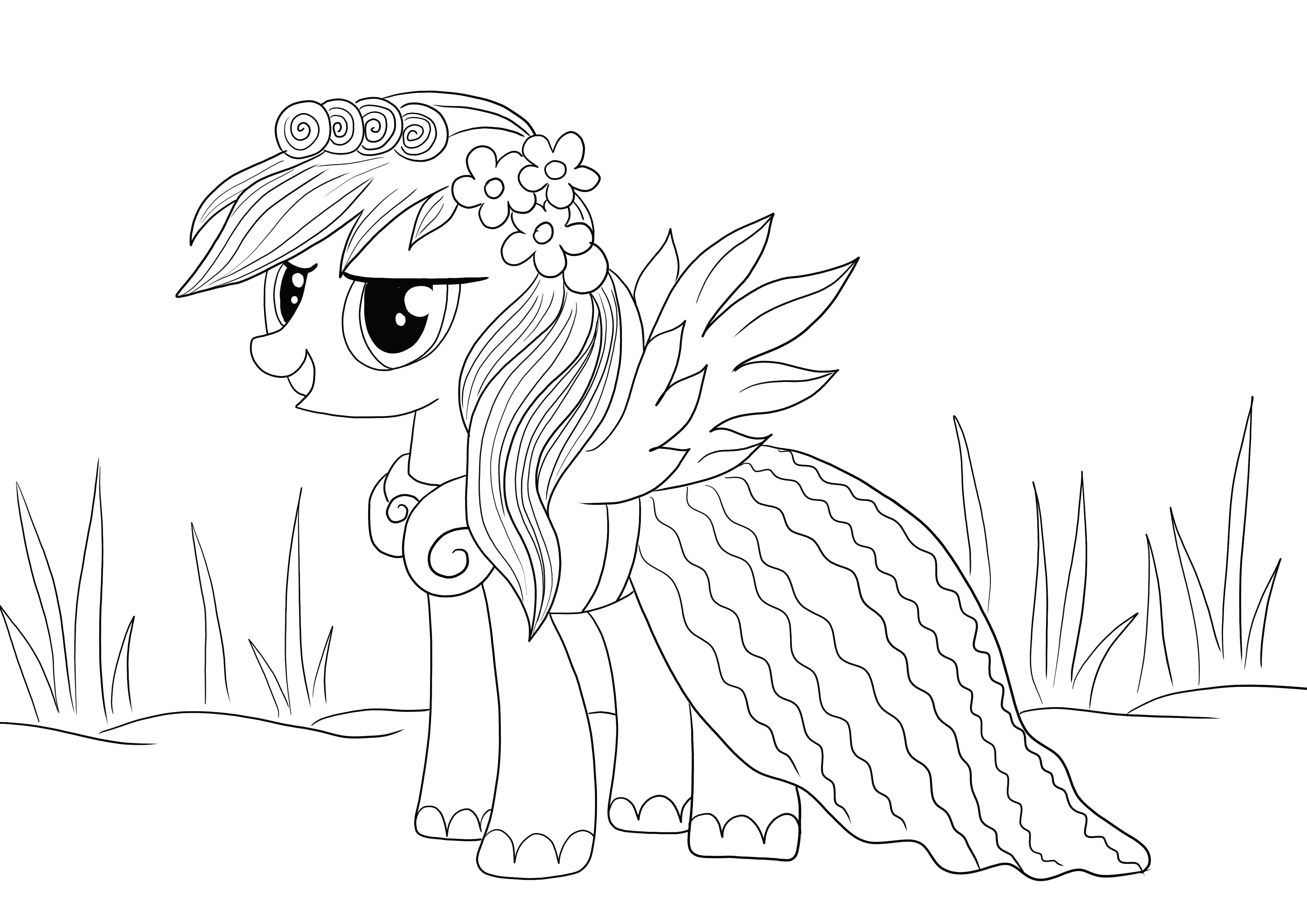 Beautiful Rainbow Dash from Little Pony cartoon free to download and color image