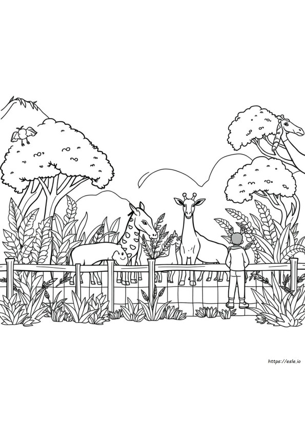 Desene De Colorat Cu Animale De La Zoo