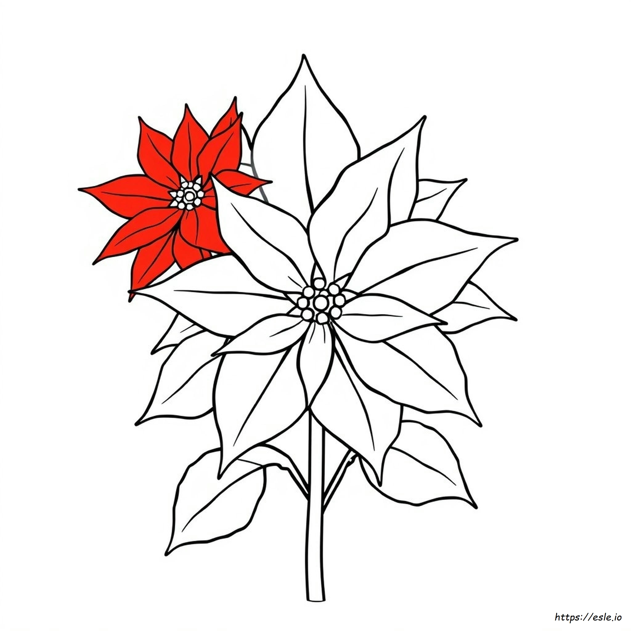 Simple Poinsettia Coloring Page