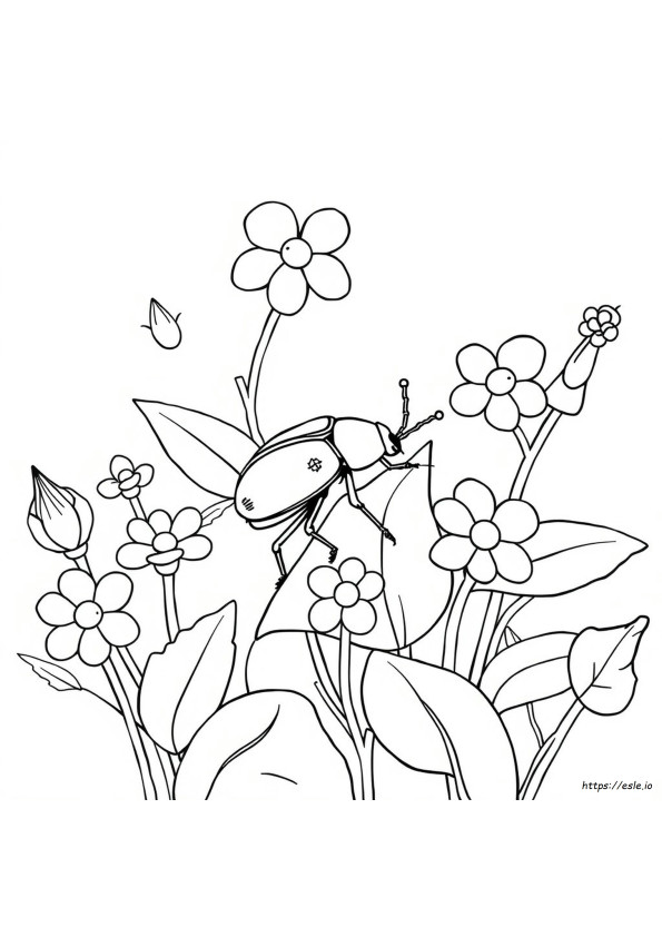 Beetle Coloring Sheet