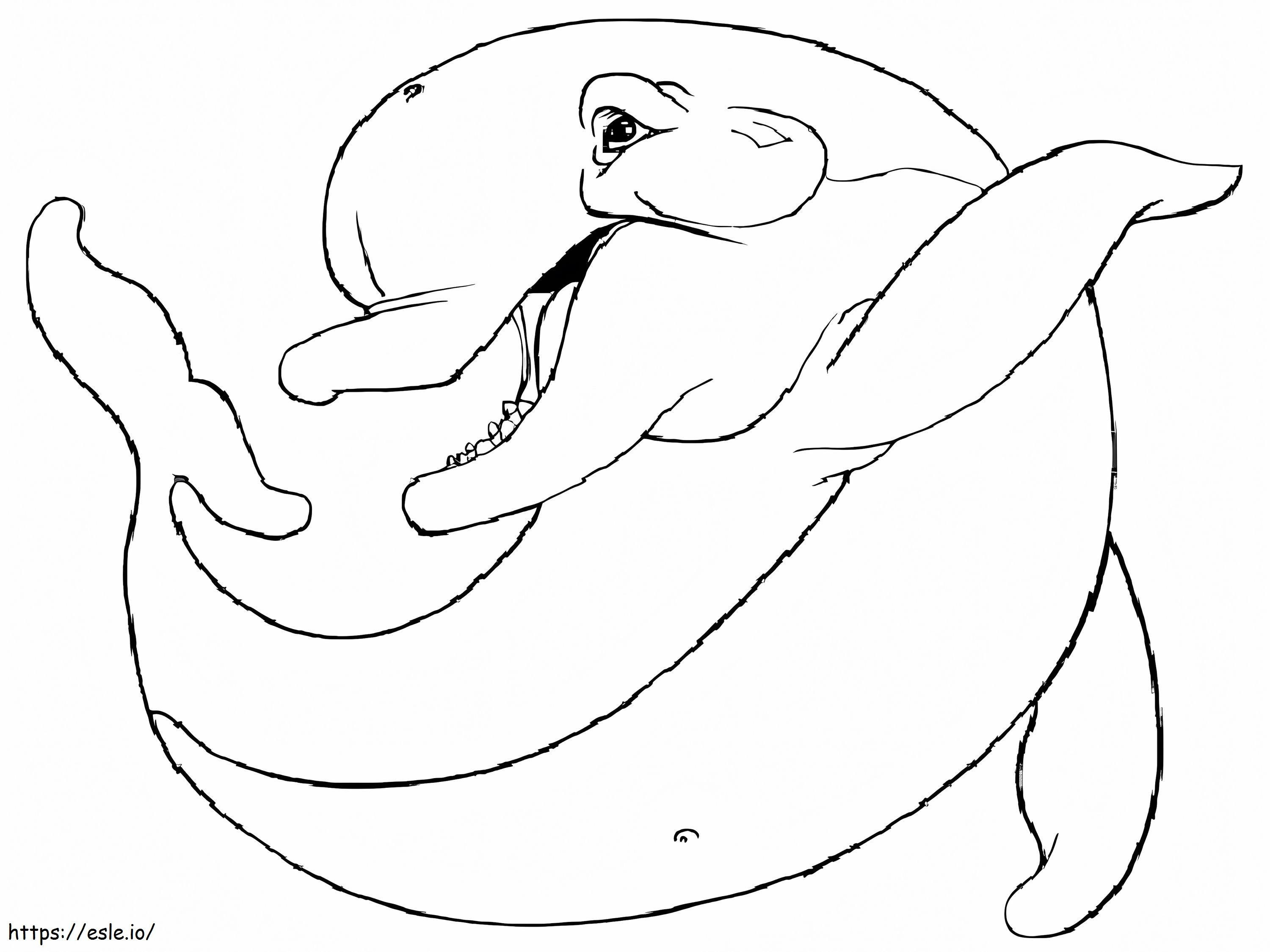 golfinho gordo para colorir