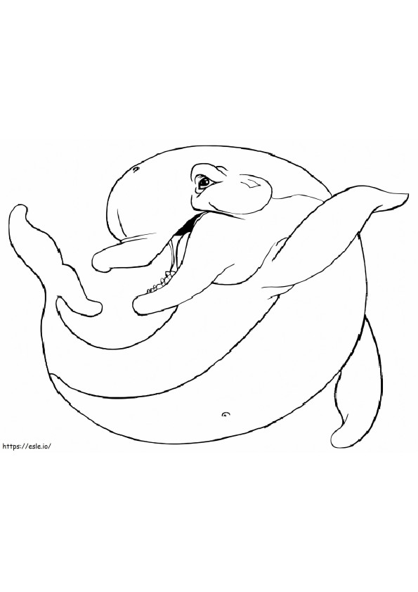 golfinho gordo para colorir