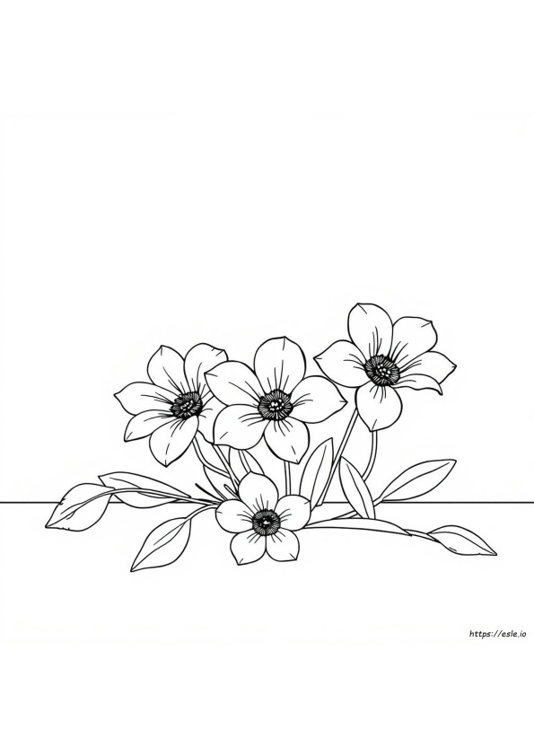 Comment Colorier Des Fleurs Pressées