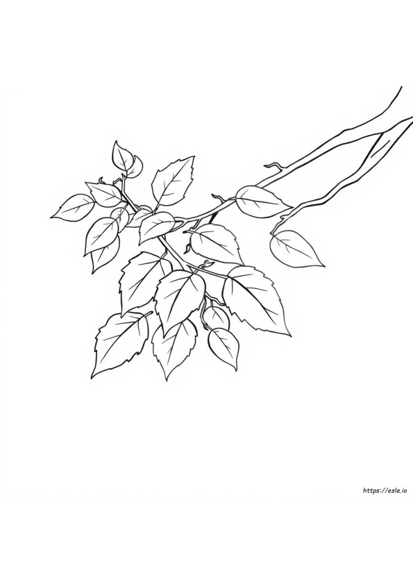 Comment Colorier Les Feuilles