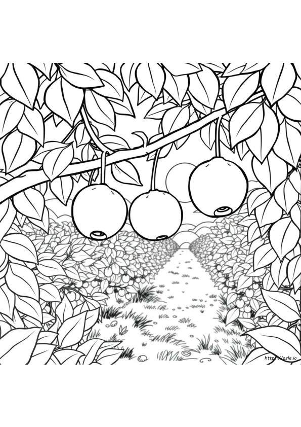 Fruit Colouring In Pages