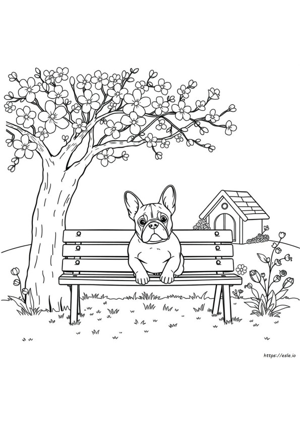French Bulldog Colouring Pictures