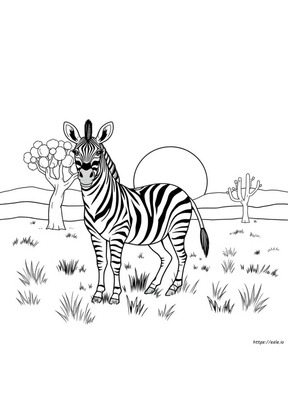 Gambar Mewarnai Zebra