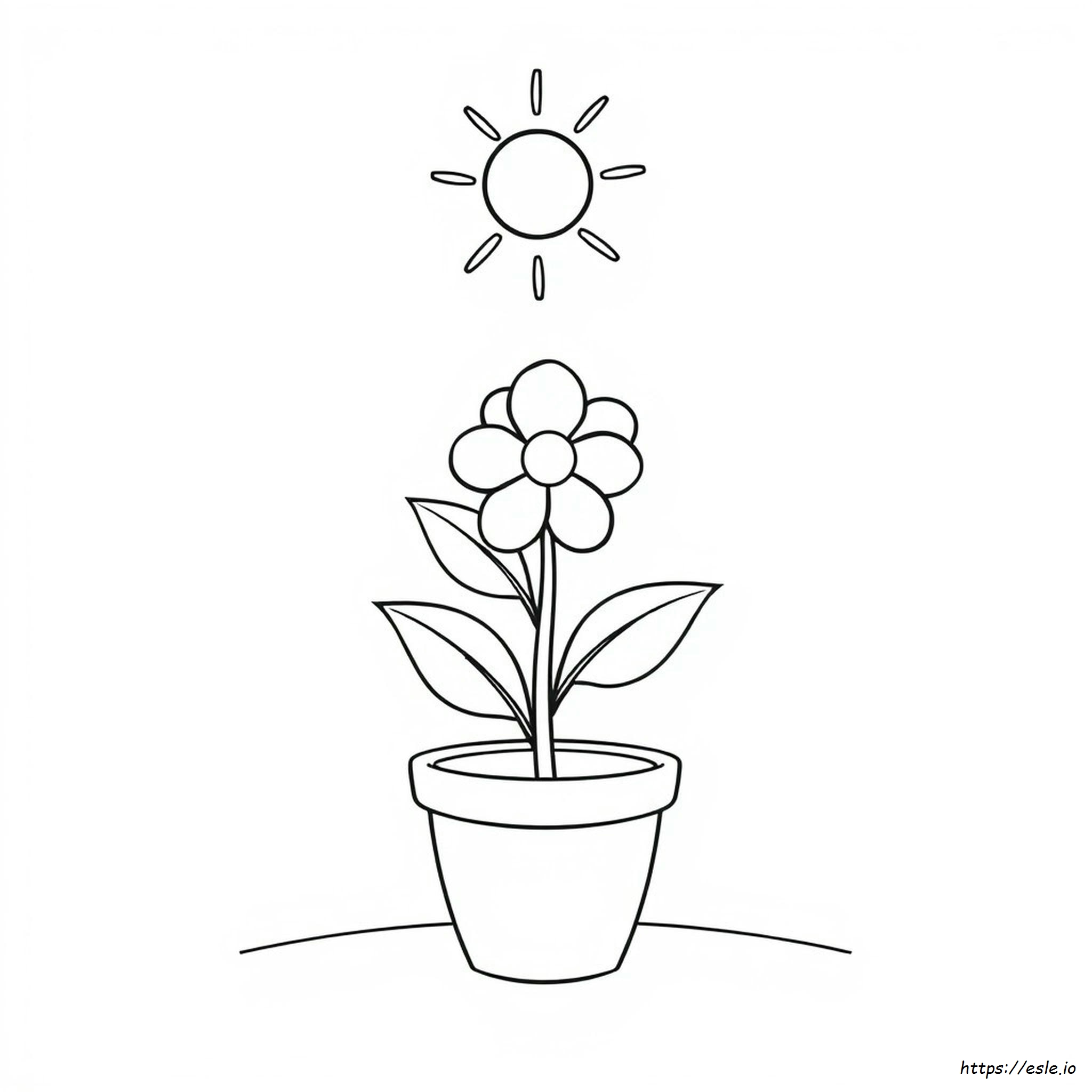 Páginas Para Colorear De Flores Imprimibles Para Niños