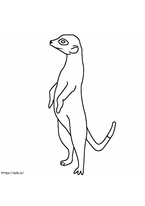Meerkat facile in piedi da colorare