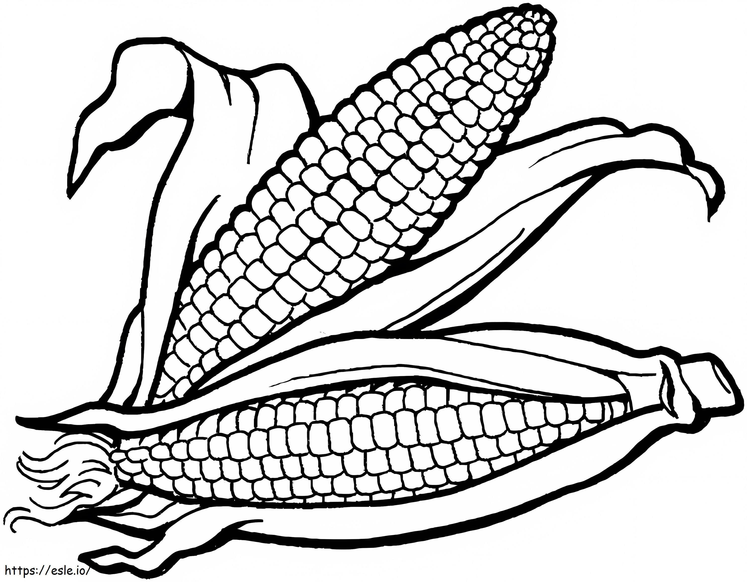 Two Indian Corns coloring page