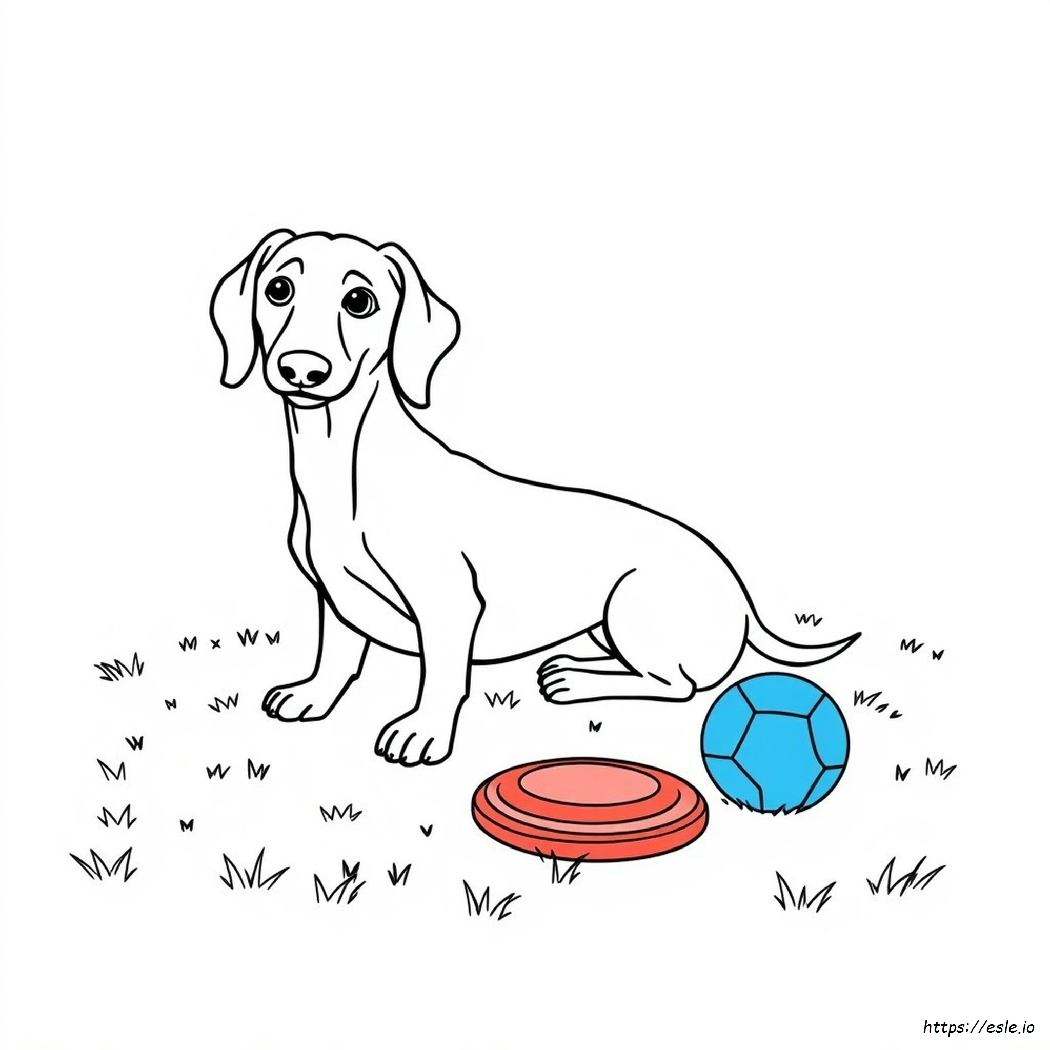 Printable Weiner Dog Coloring Page