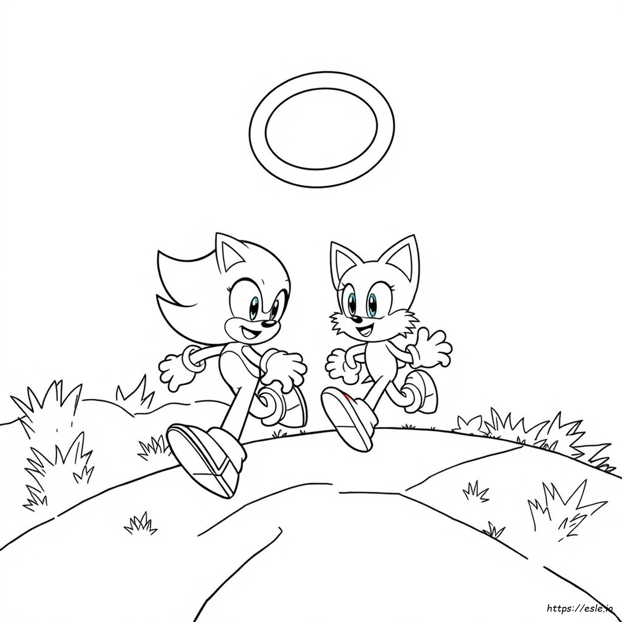 Libro De Colorear De Sonic Y Shadow