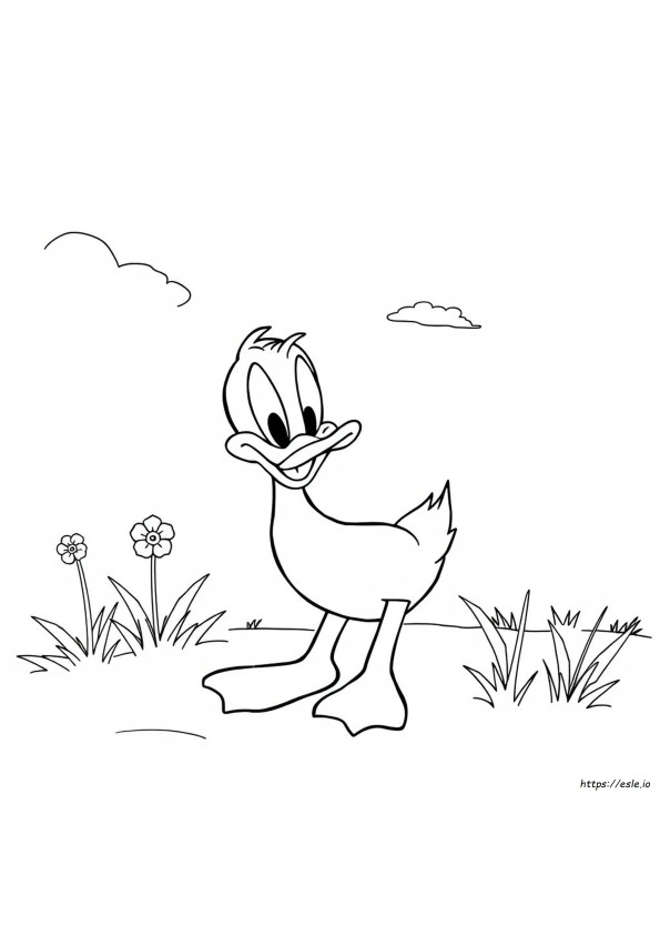 Kaczor Daffy Kolorowanki Do Druku