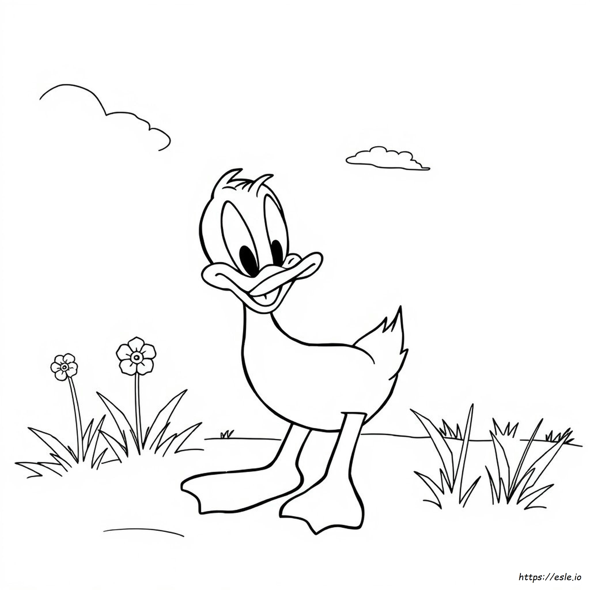 Daffy Duck De Colorat Pentru Imprimat