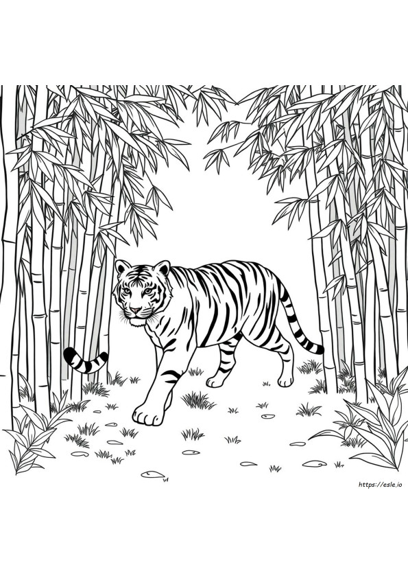 Bengals Coloring Book