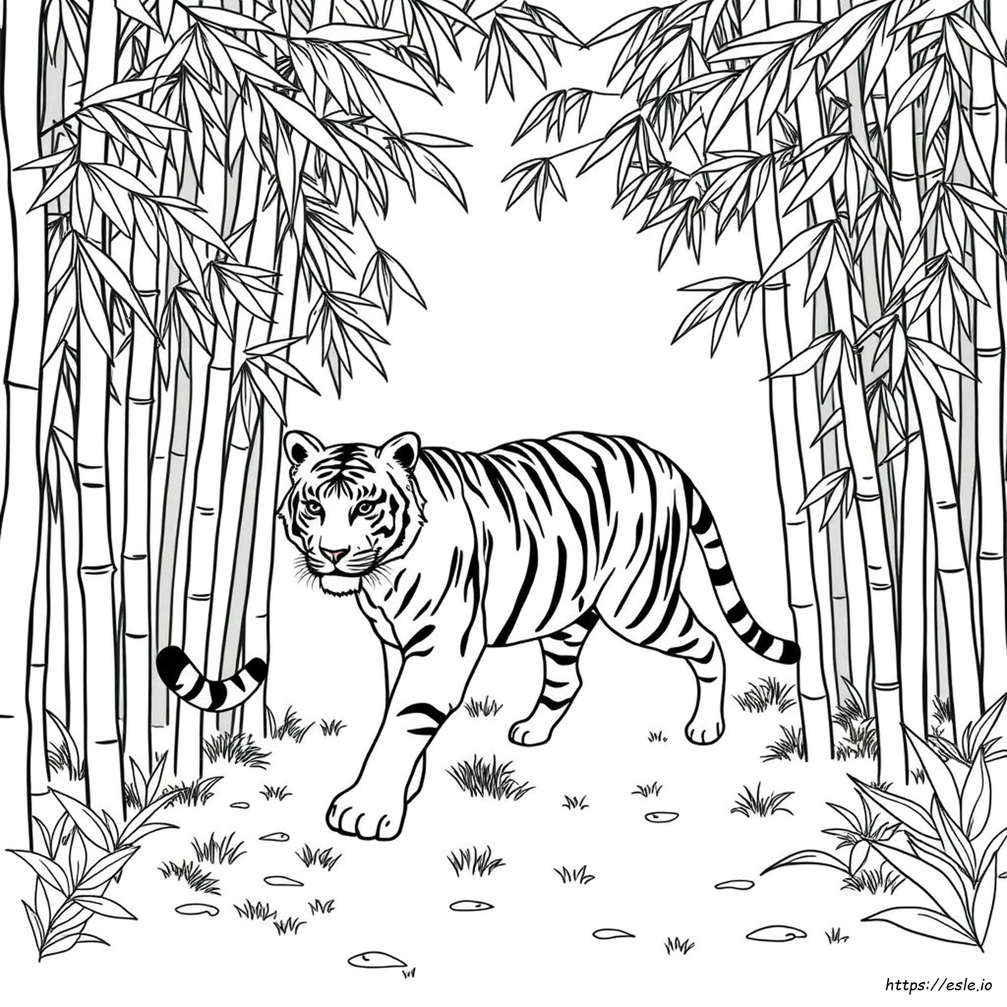 Libro Para Colorear De Los Bengalíes