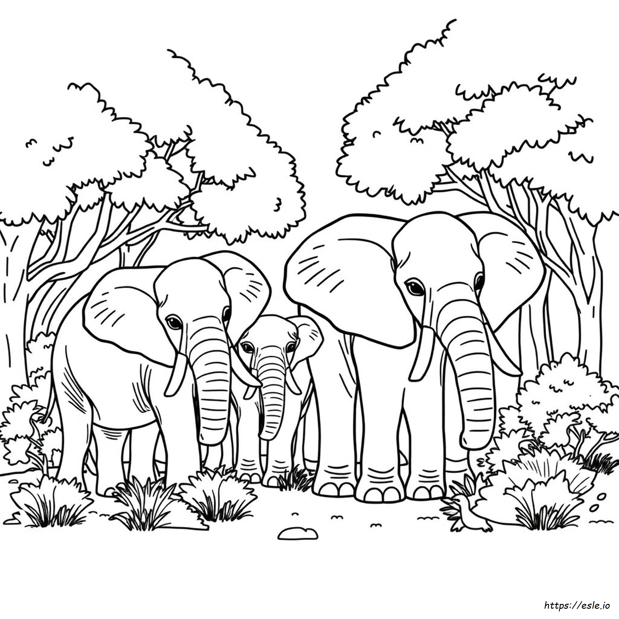 Adult Coloring Pages Of Elephants