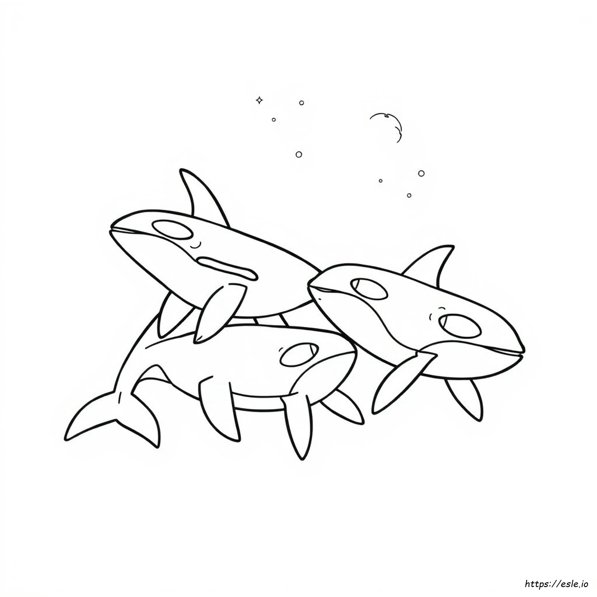 Coloring Pictures Of Orcas