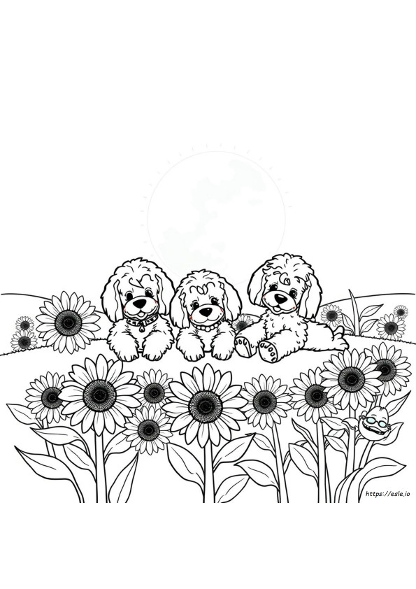 Zendoodle Kleurboeken