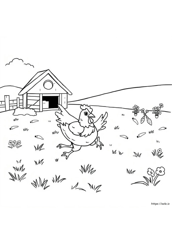 Ayam Kabur Gambar Mewarnai
