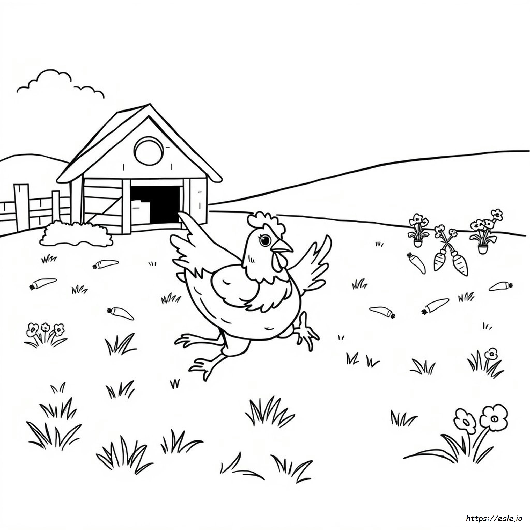 Galline In Fuga Da Colorare
