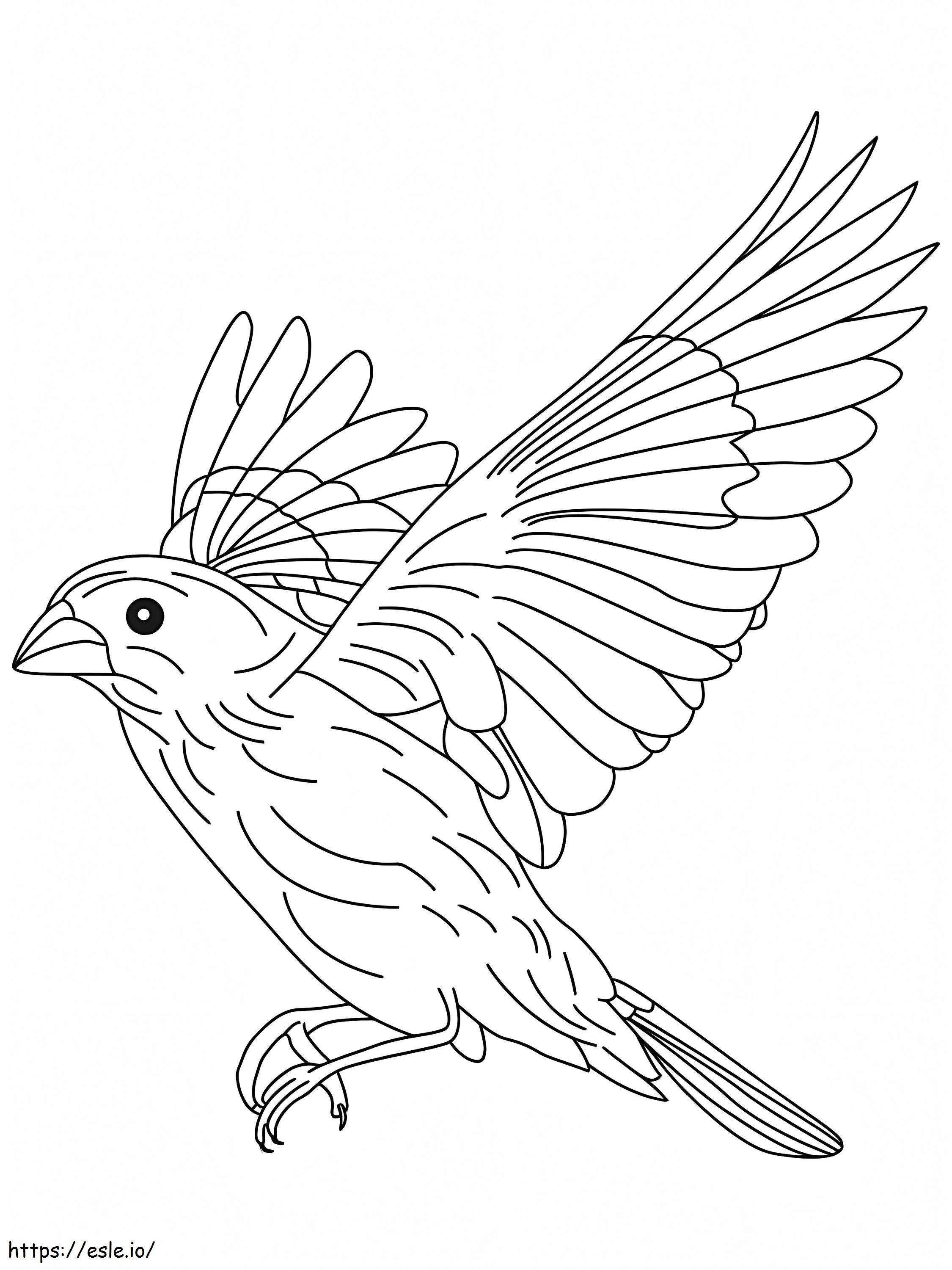 Coloriage Incroyable oiseau canari à imprimer dessin