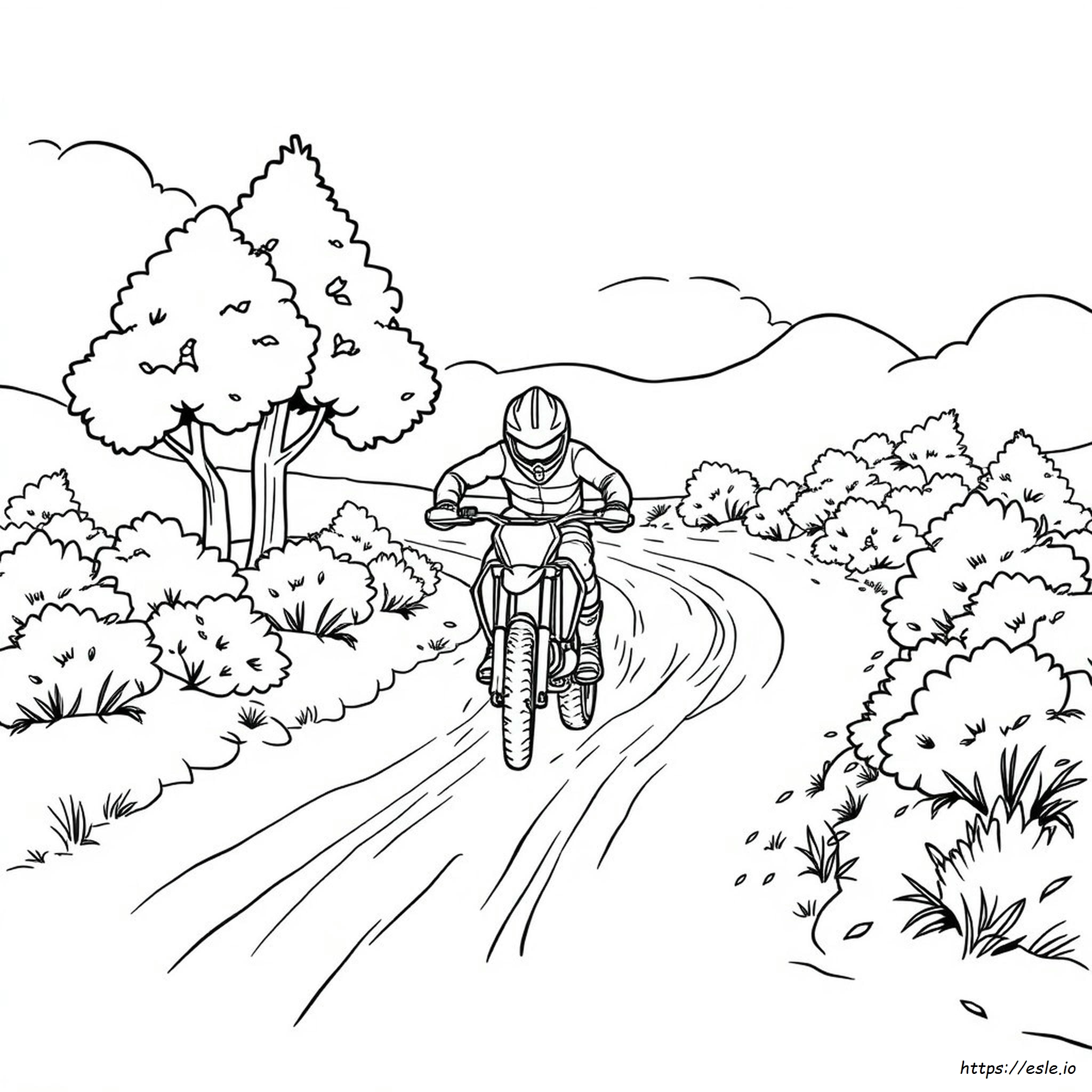 Dirt Bike Coloring Pictures