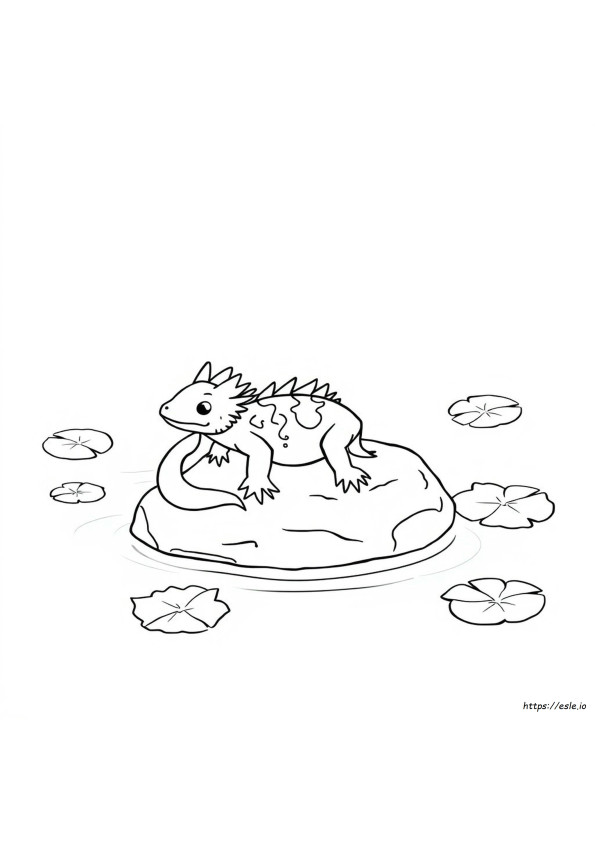 Axolotl Da Colorare