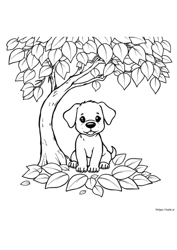 Cute Puppy Colouring Pictures