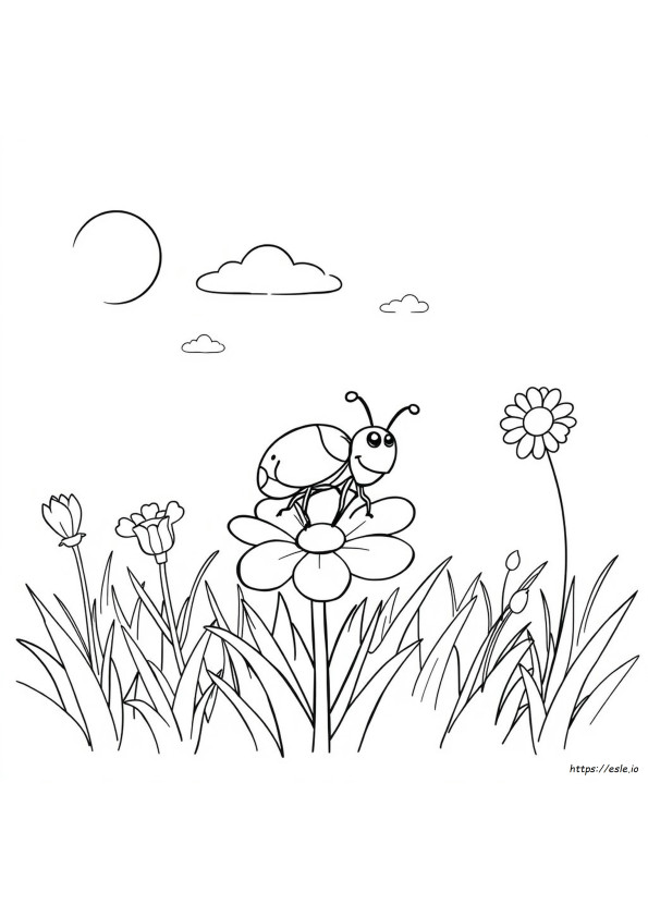 Dibujos De Bichos Para Colorear Para Niños