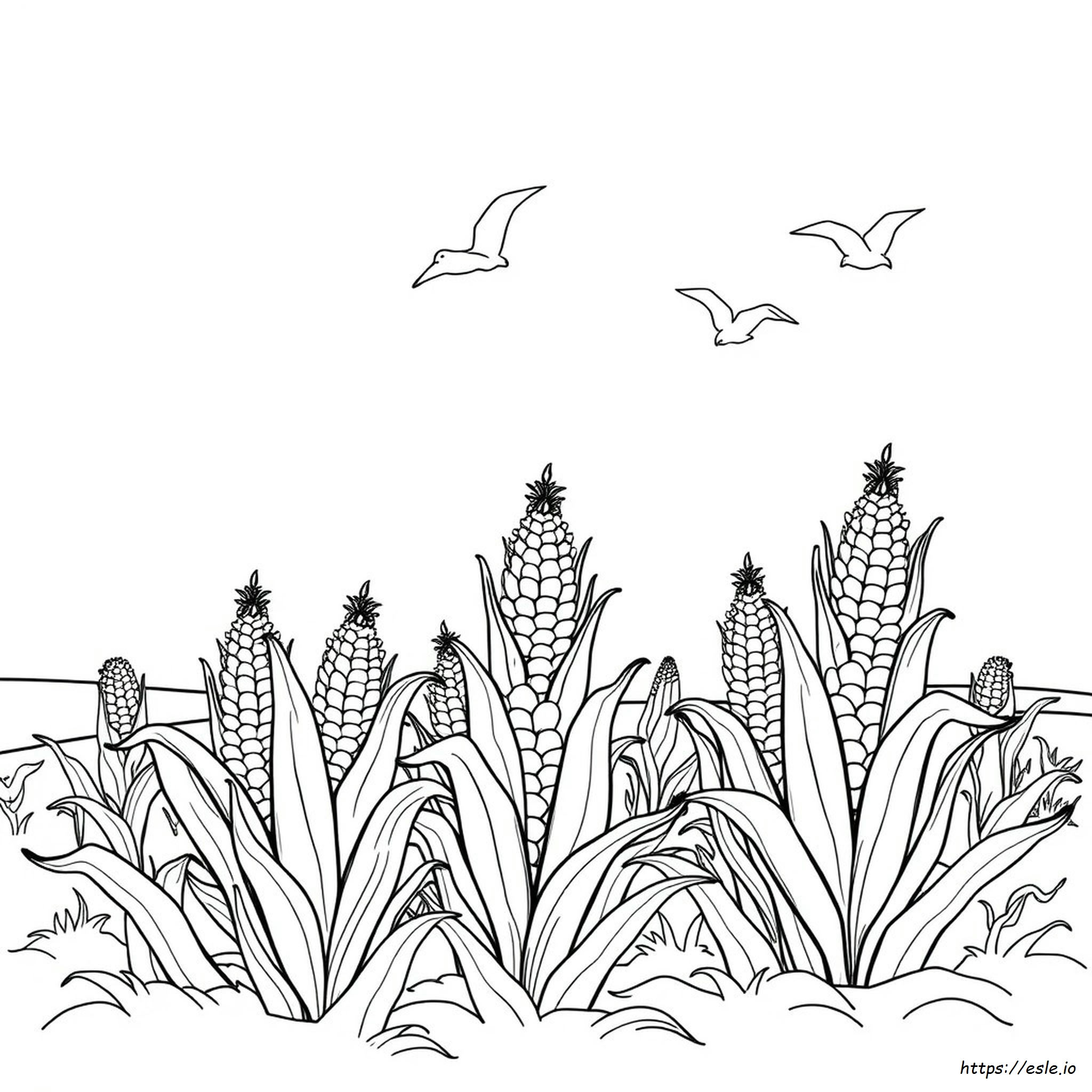 Corn Coloring Pages For Preschoolers