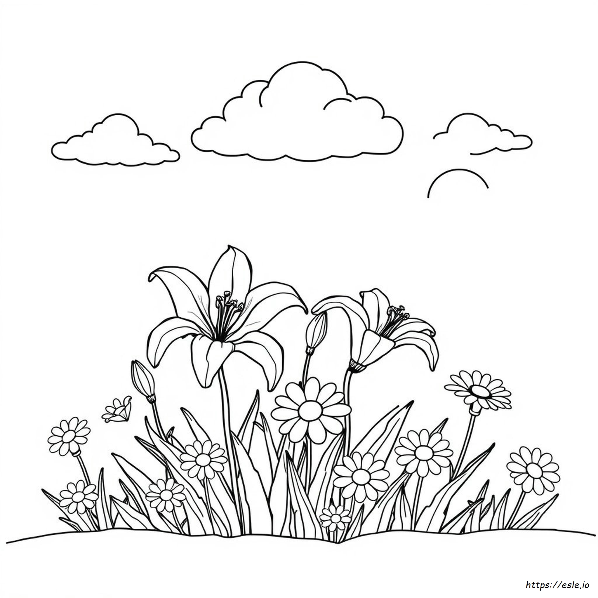 What Color Flowers Do You Send For Sympathy