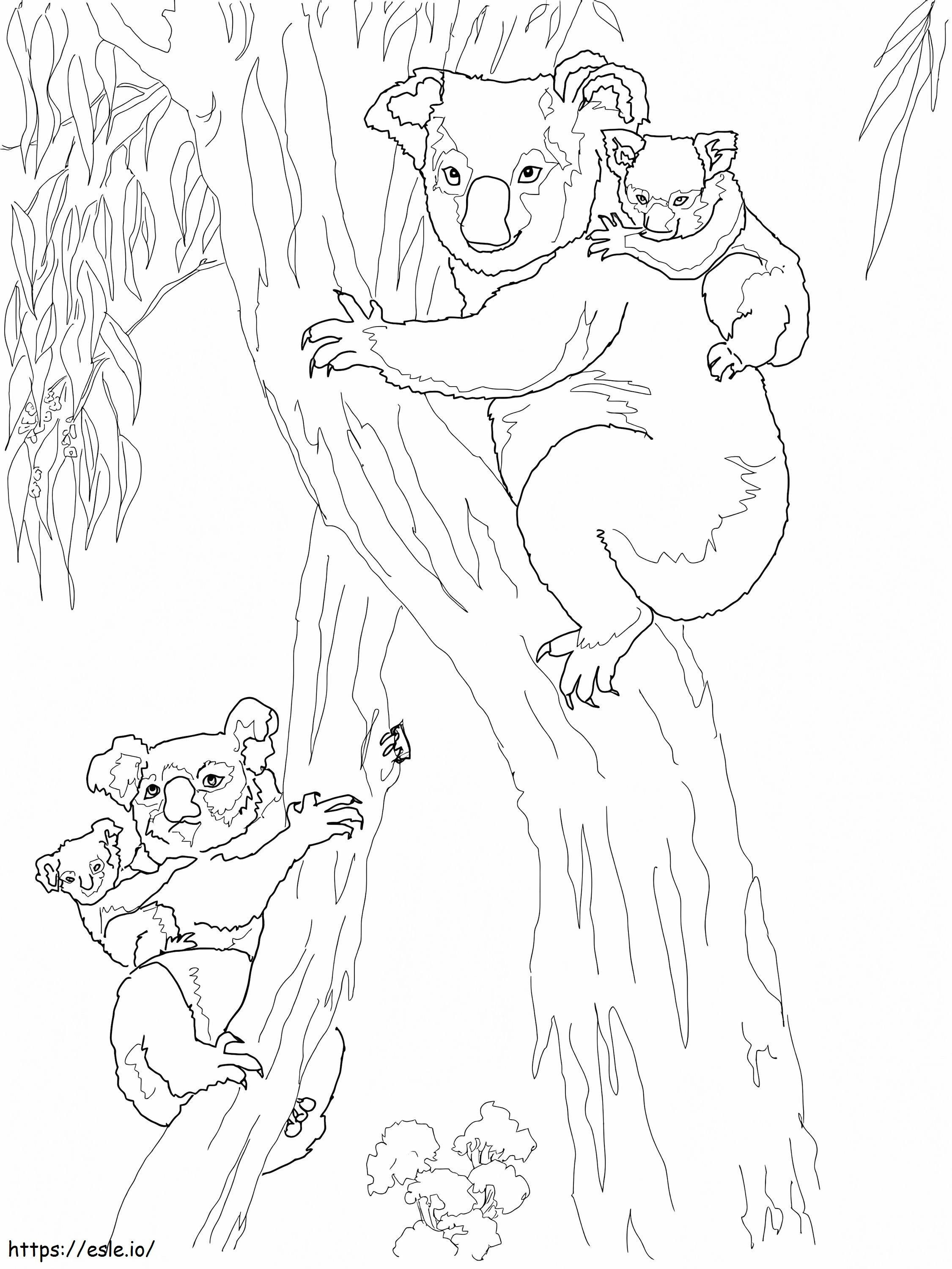 Koala Mamy z dziećmi kolorowanka