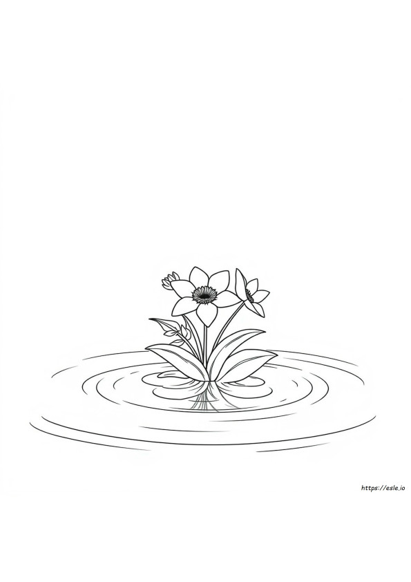 Free Printable Coloring Pages For Adults Easy