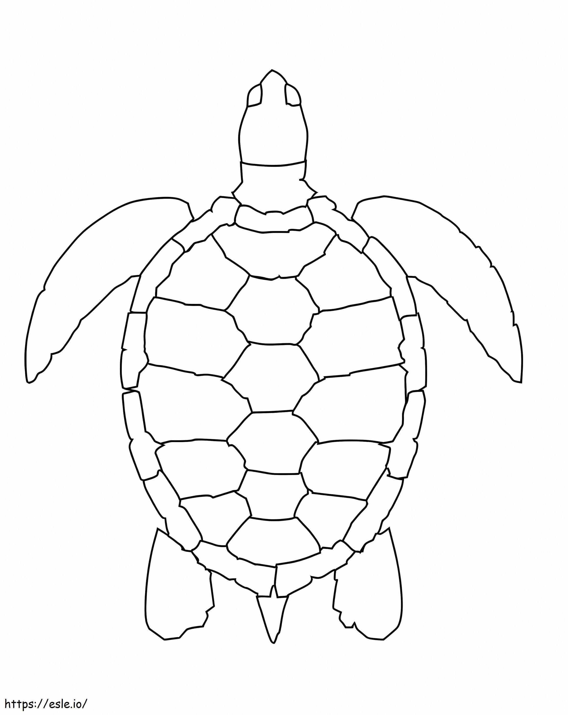 Eenvoudige zeeschildpad kleurplaat kleurplaat