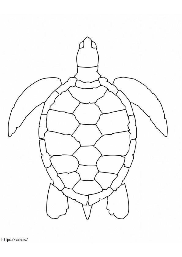 Eenvoudige zeeschildpad kleurplaat